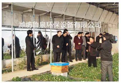 ����(ji��)ǰ��������ɽ���r�ƈ@��ϲ������Ȫ���B(t��i)ˮ��ȷNֲ�ă�(y��u)�|��ݮ�������@�^(q��)���a���������������ʼҿڸ�!